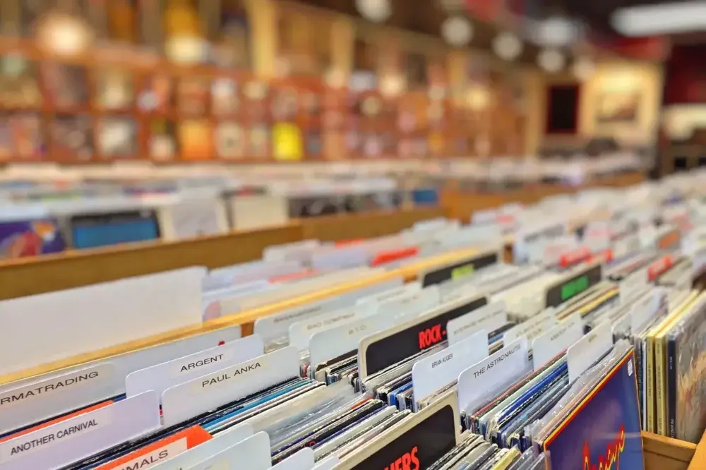 Shows a retail record store with shelves full of products, whose upkeep is an important consideration for a business owner.