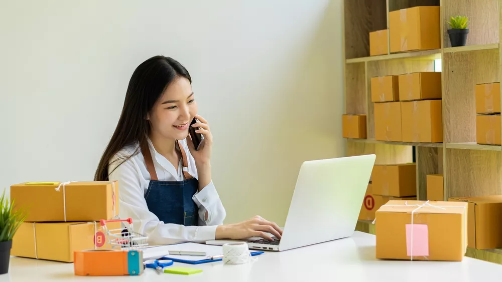 Shows a business owner on her laptop and phone, being supported by government services.